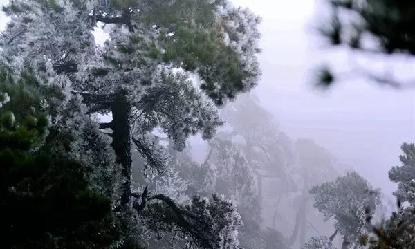 周大福 | 点亮生活仪式感