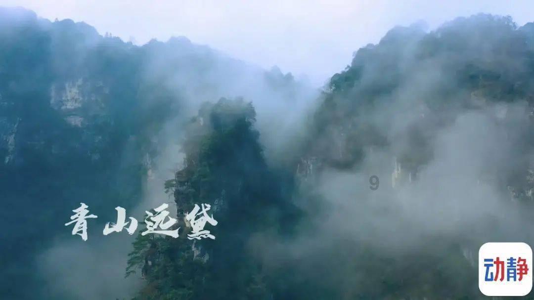 明珠货运盘中异动 早盘股价大跌6.81%